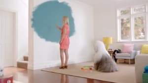 Colour 